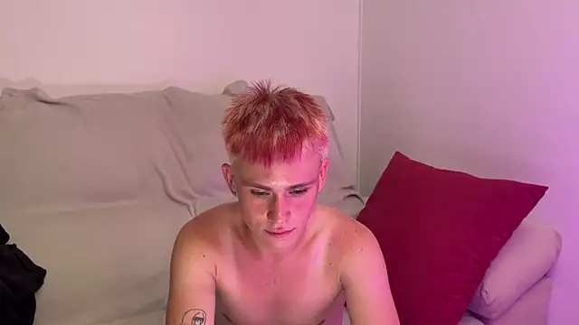 הופעת וובקאם של twiinknico