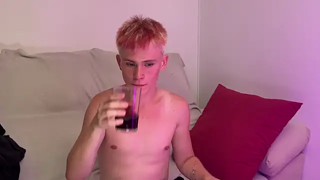 Show modela twiinknico na web-kameri