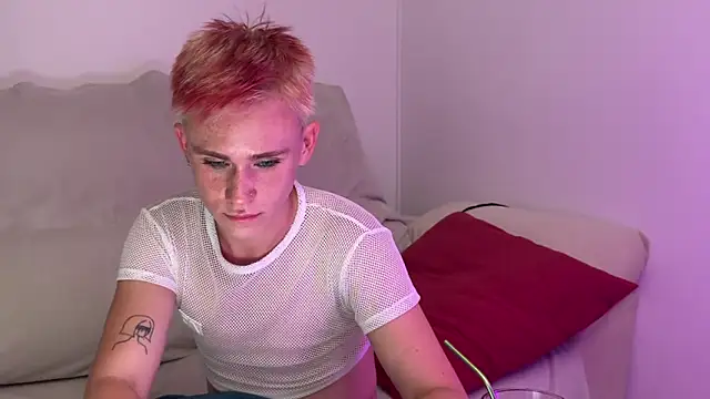 Show de twiinknico na webcam