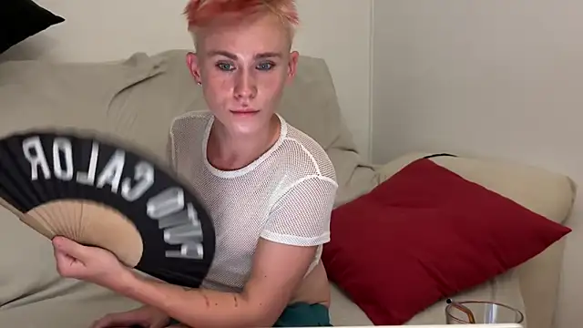 Show de twiinknico na webcam
