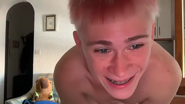 twiinknicon Webbikameraesitys