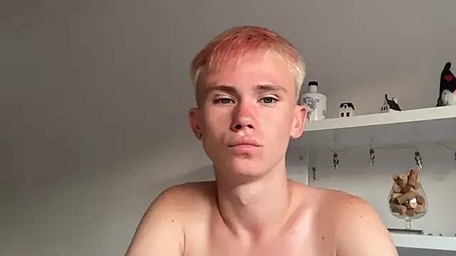 Webkamerová show twiinknico