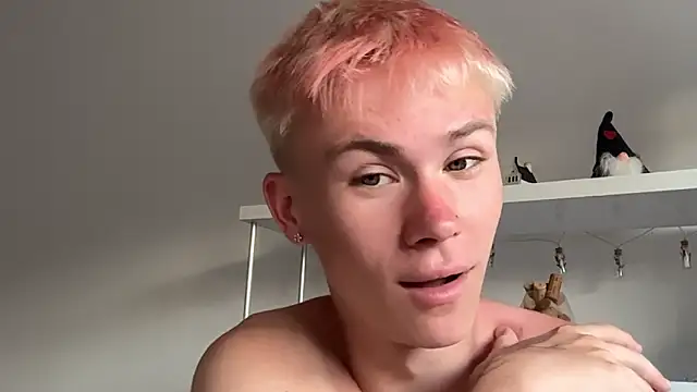 Webkamerová show twiinknico