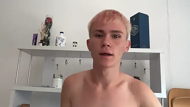 Вебкам-шоу twiinknico