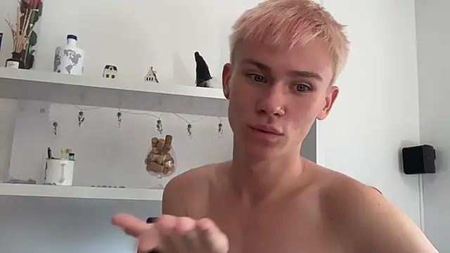 Webkamerová show twiinknico