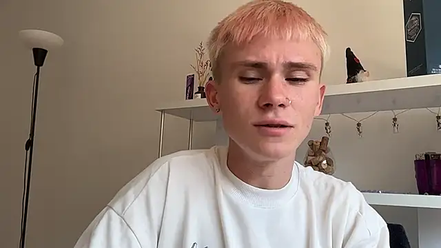 twiinknicon Webbikameraesitys