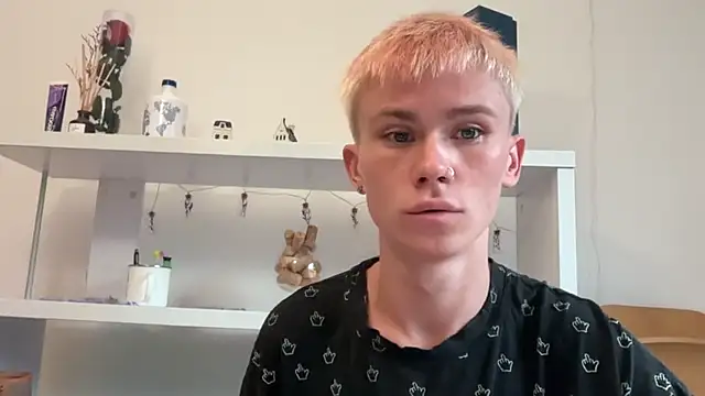 Вебкам-шоу twiinknico