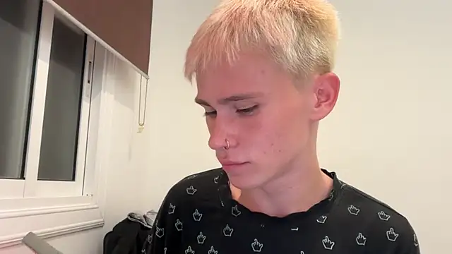 twiinknicon Webbikameraesitys