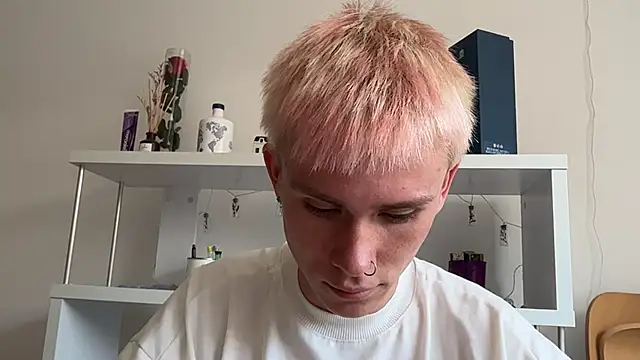 Webkamerová show twiinknico