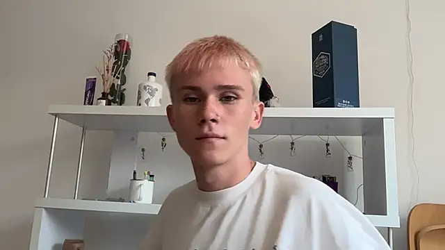 Webkamerová show twiinknico