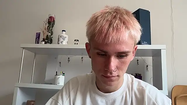 Webkamerová show twiinknico