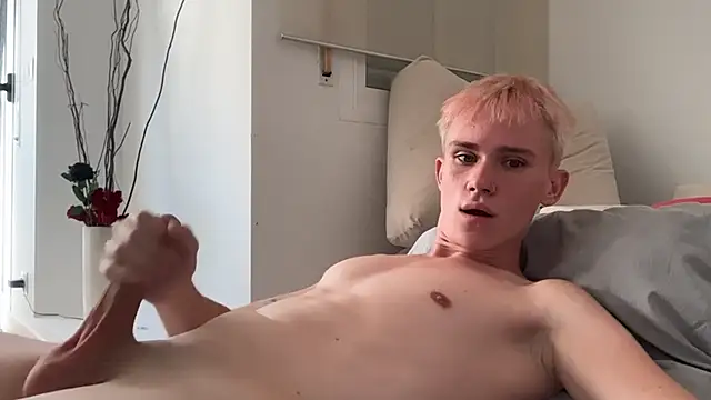 Show modela twiinknico na web-kameri