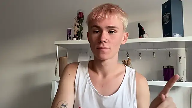 Webkamerová show twiinknico