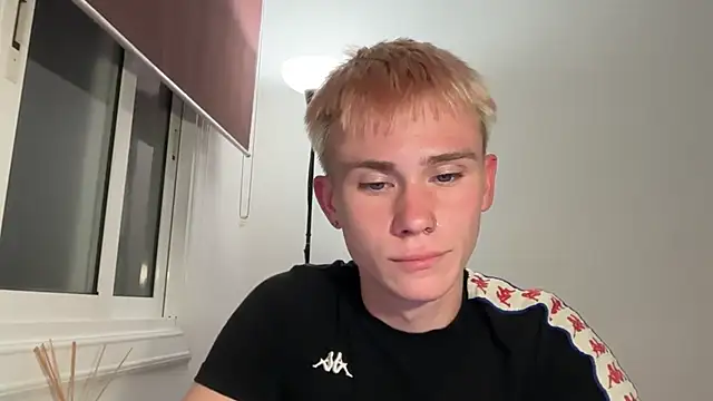 twiinknicon Webbikameraesitys