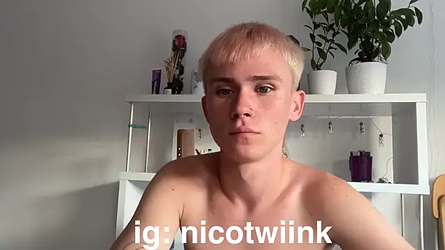 Вебкам-шоу twiinknico
