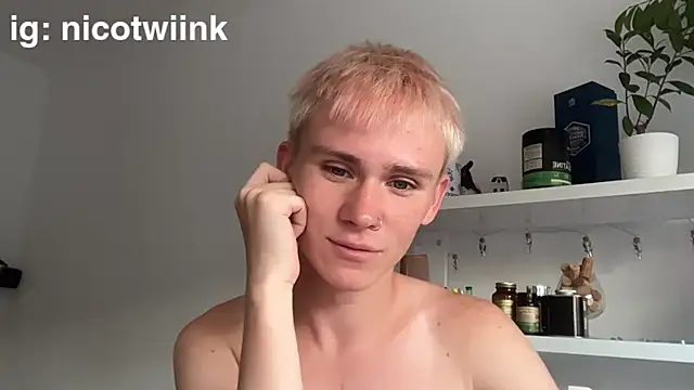 twiinknico: διαδικτυακό σόου στην κάμερα
