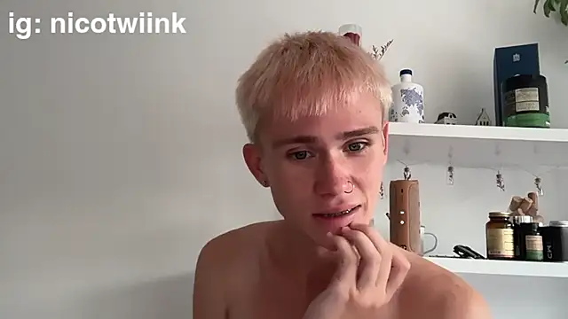 Show webcam de twiinknico