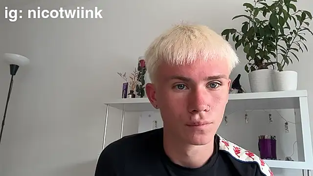 Show de twiinknico na webcam