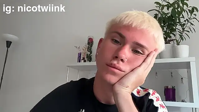 Вебкам-шоу twiinknico