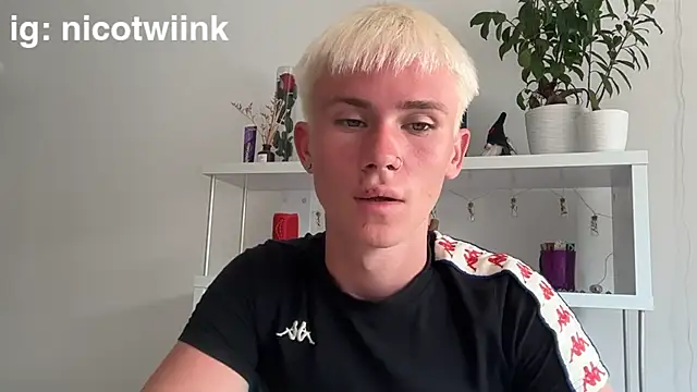 Show webcam de twiinknico