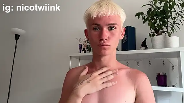 Show modela twiinknico na web-kameri