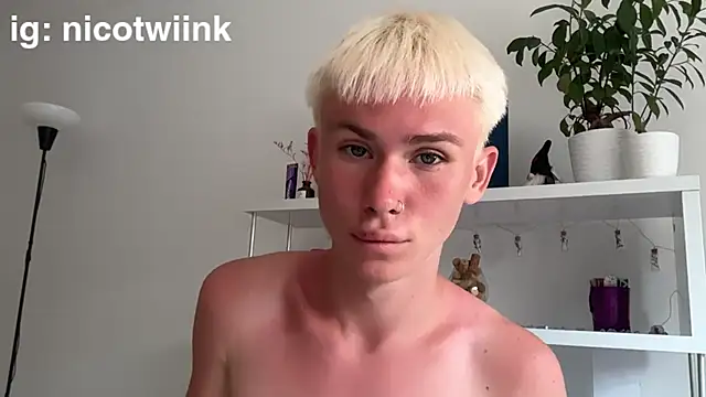 twiinknicon Webbikameraesitys