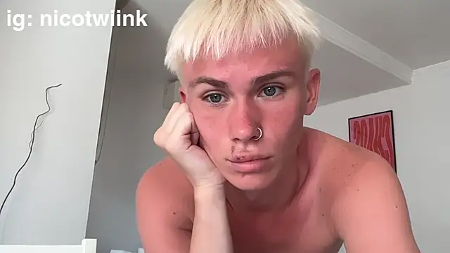 Вебкам-шоу twiinknico