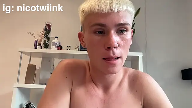 โชว์เว็บแคมของ twiinknico
