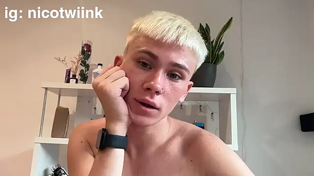 Вебкам-шоу twiinknico