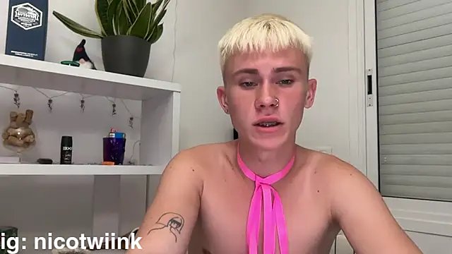 twiinknico's Webcam Show
