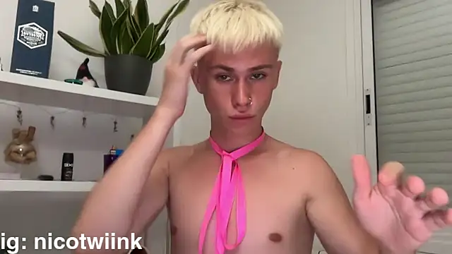 Вебкам-шоу twiinknico