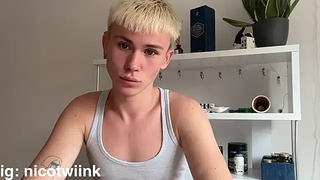 عرض كام twiinknico