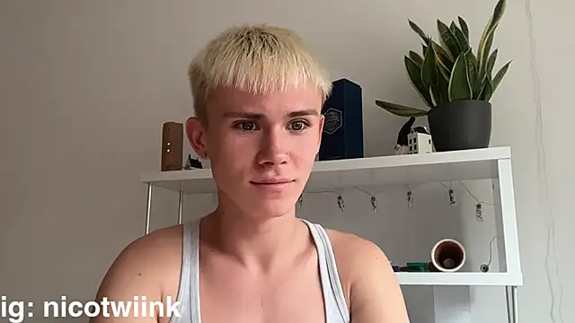 Show Webcam de twiinknico