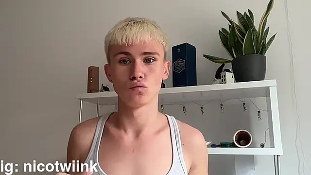 twiinknico Webcam-Show
