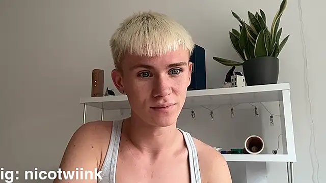 twiinknico: διαδικτυακό σόου στην κάμερα