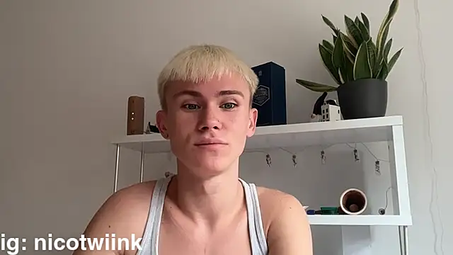 عرض كام twiinknico