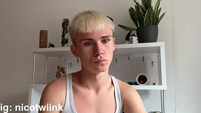 twiinknico: вебкам-шоу