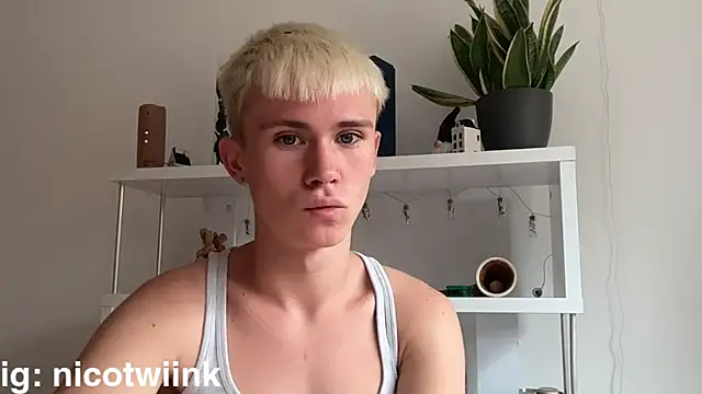 Pokazy przed kamerką – twiinknico