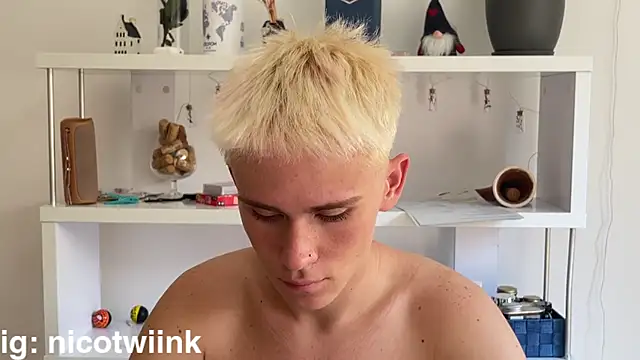 twiinknicoのウェブカメラショー