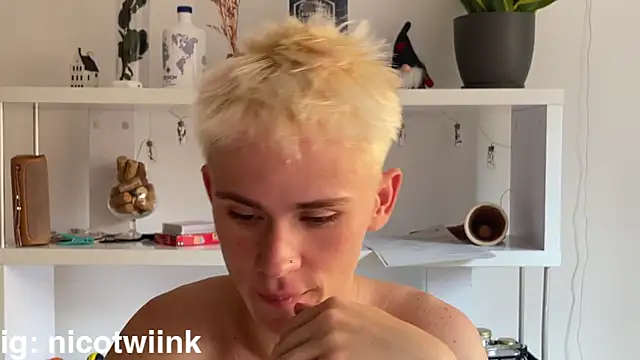 twiinknico Webcam-Show
