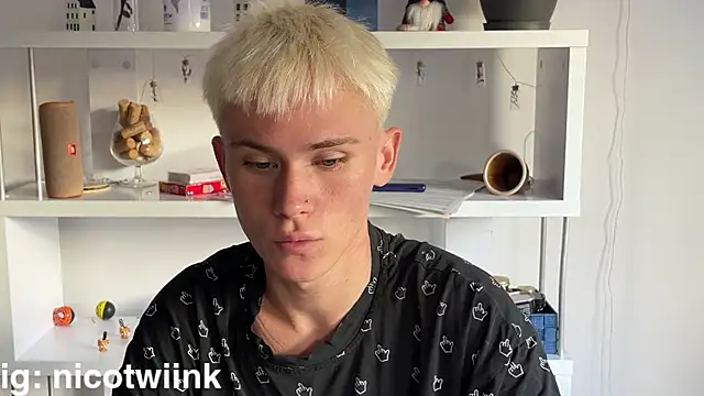 twiinknicon Webbikameraesitys
