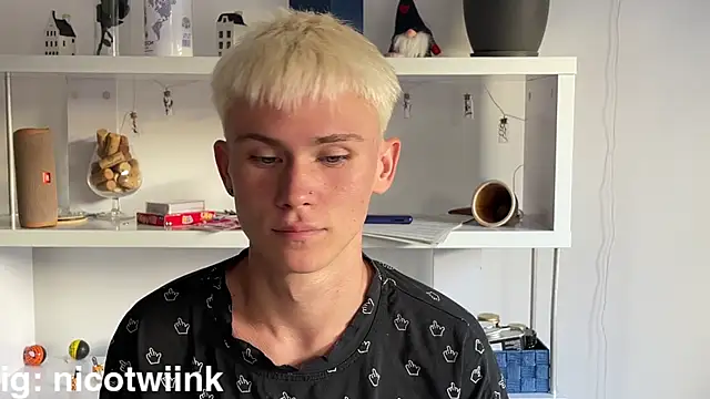 twiinknicoのウェブカメラショー