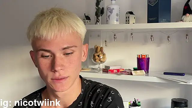 twiinknico Webcam-Show