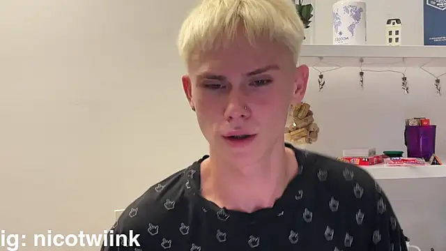 twiinknico Шоу с уебкамера
