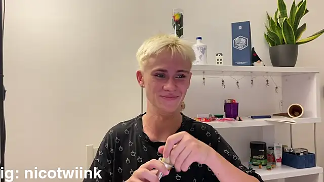 twiinknico Webcam-Show