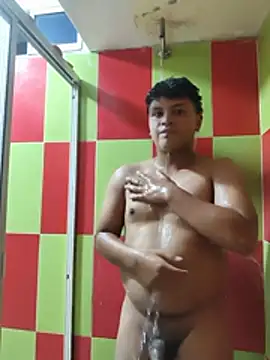 Show modela pene17cmn na web-kameri