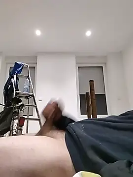 Show webcam de sebtin2411