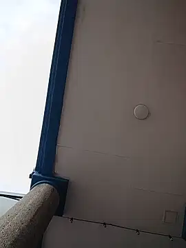 AlekNoir Pertunjukan Webcam