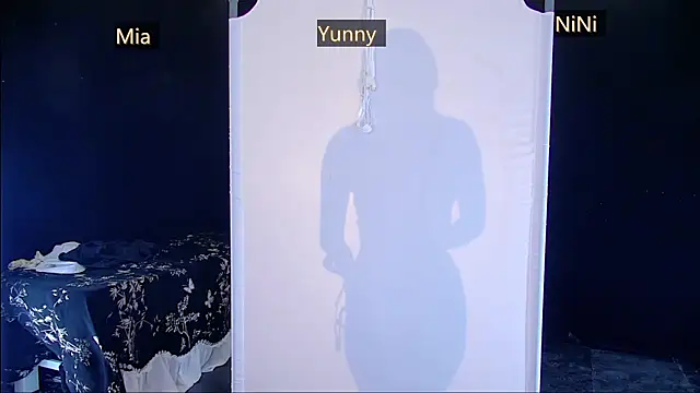 Show de webcam de MiNi-U