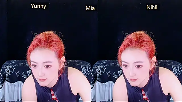 MiNi-U Show in webcam